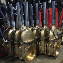 SARACINESCHE.jpeg - SAC di Arduino - Magazzino Ricambi Mezzi Agricoli - Vottignasco - CN - Italy